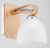 Светильник настенный Alfa 27041