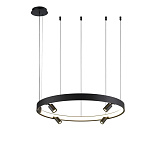 Светильник подвесной светодиодный Aployt APL.041.13.50