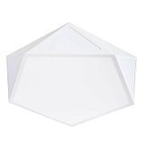 Светильник накладный светодиодный Arte Lamp A1931PL-1WH с пультом д/у