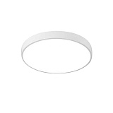 Светильник накладный светодиодный Arte Lamp A2661PL-1WH с пультом д/у