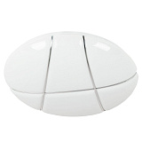 Светильник накладный светодиодный Arte Lamp A2677PL-72CC