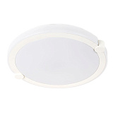 Светильник накладный светодиодный Arte Lamp A2679PL-72WH