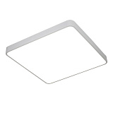 Светильник накладный светодиодный Arte Lamp A2687PL-45WH