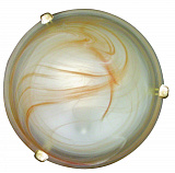 Светильник накладный Arte Lamp A3930AP-1GO