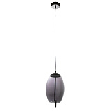 Светильник подвесной светодиодный Arte Lamp A7769SP-1BC