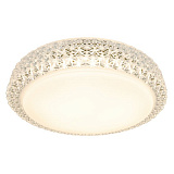 Светильник  настенно-потолочный светодиодный ArteLamp A1569PL-1CL