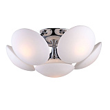 Светильник потолочный ArteLamp A2550PL-6CC