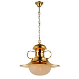 Светильник подвесной ArteLamp A3255SP-1PB