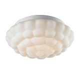 Светильник потолочный ArteLamp A5130PL-2WH