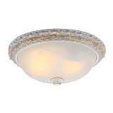 Светильник потолочный ArteLamp A7122PL-2WG