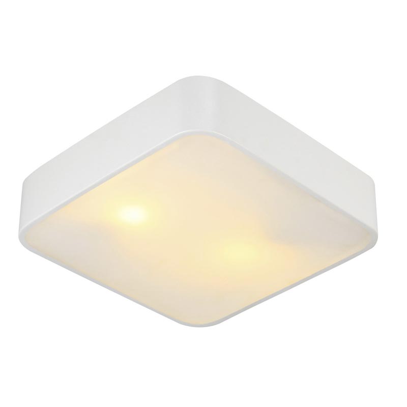 Светильник потолочный ArteLamp A7210PL-2WH