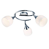 Светильник потолочный ArteLamp A9556PL-3CC
