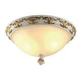 Светильник потолочный ArteLamp A9570PL-2WG