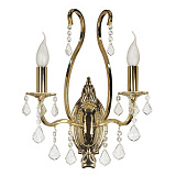 Светильник настенный Arti Lampadari Ercolano E 2.1.2.602 G