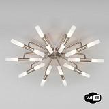 Люстра потолочная галогеновая Bogates 347 Smart