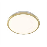 Светильник накладный светодиодный Citilux CL702162W