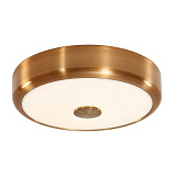 Светильник накладный светодиодный Citilux CL706122