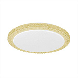 Светильник накладный светодиодный Citilux CL715R362