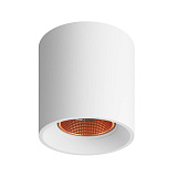 Светильник накладный Denkirs DK3090-WBR