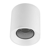 Светильник накладный Denkirs DK3090-WH+CH