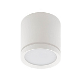 Светильник накладный светодиодный Denkirs DK4013-WH