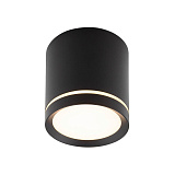 Светильник накладный светодиодный Denkirs DK4016-BK