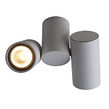 Светильник потолочный Divinare 1354/03 PL-2