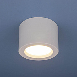 Светильник накладный светодиодный Elektrostandard 4690389120671