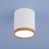 Светильник потолочный светодиодный Elektrostandard 4690389121951