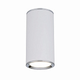 Светильник потолочный Elektrostandard 4690389135859