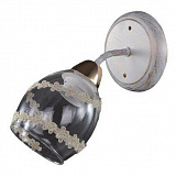 Светильник настенный Elvan BR-141/1-E27