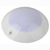 Светильник настенный светодиодный ЭРА SB-604