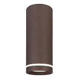 Светильник потолочный светодиодный Escada 20009SMU/02LED CF