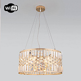 Люстра подвесная хрустальная Eurosvet 10125/5 золото/прозрачный хрусталь Strotskis Smart