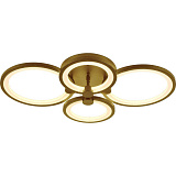 Люстра потолочная светодиодная Evoled SLE200322-04 с пультом д/у