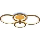 Люстра потолочная светодиодная Evoled SLE200322-04RGB с пультом д/у