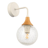 Светильник настенный Evoluce SLE109501-01