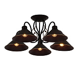 Люстра потолочная Evoluce SLE120402-05