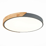 Светильник накладный светодиодный Evoluce SLE200972-01