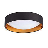 Светильник потолочный светодиодный Evoluce SLE201102-01