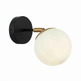 Светильник настенный Evoluce SLE220401-01