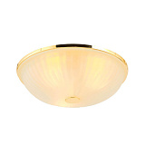 Светильник накладный F-Promo 2752-3C