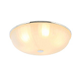 Светильник накладный F-Promo 2753-5C
