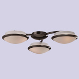 Люстра потолочная Favourite 1020-6U