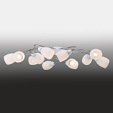 Люстра потолочная Favourite 1042-12U