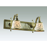 Светильник для подсветки картин Favourite 1233-2W