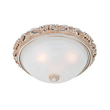 Светильник потолочный Favourite 1444-3C