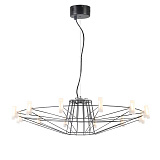 Люстра подвесная светодиодная Favourite 1638-12P