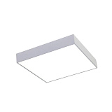 Светильник накладный светодиодный Favourite 2066-30C