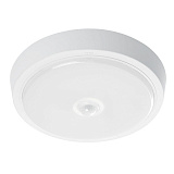 Светильник накладный светодиодный Feron 41796